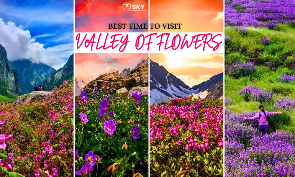 Best Time to Visit Valley of Flowers Trek: A Month-by-Month Guide